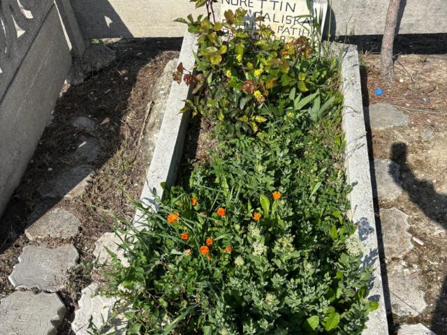 NURETTİN ÇALIŞKAN