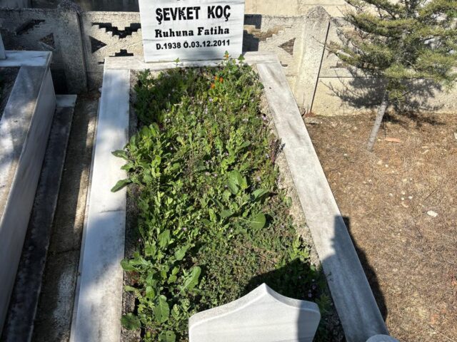 ŞEVKET KOÇ
