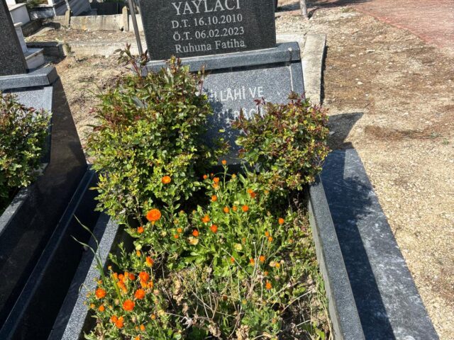 RÜZGAR BERAT YAYLACI