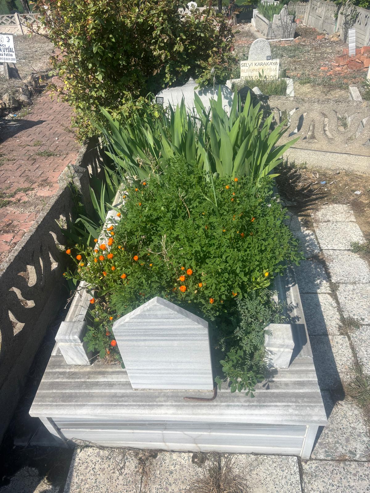 EMİNE EKMEKÇİ