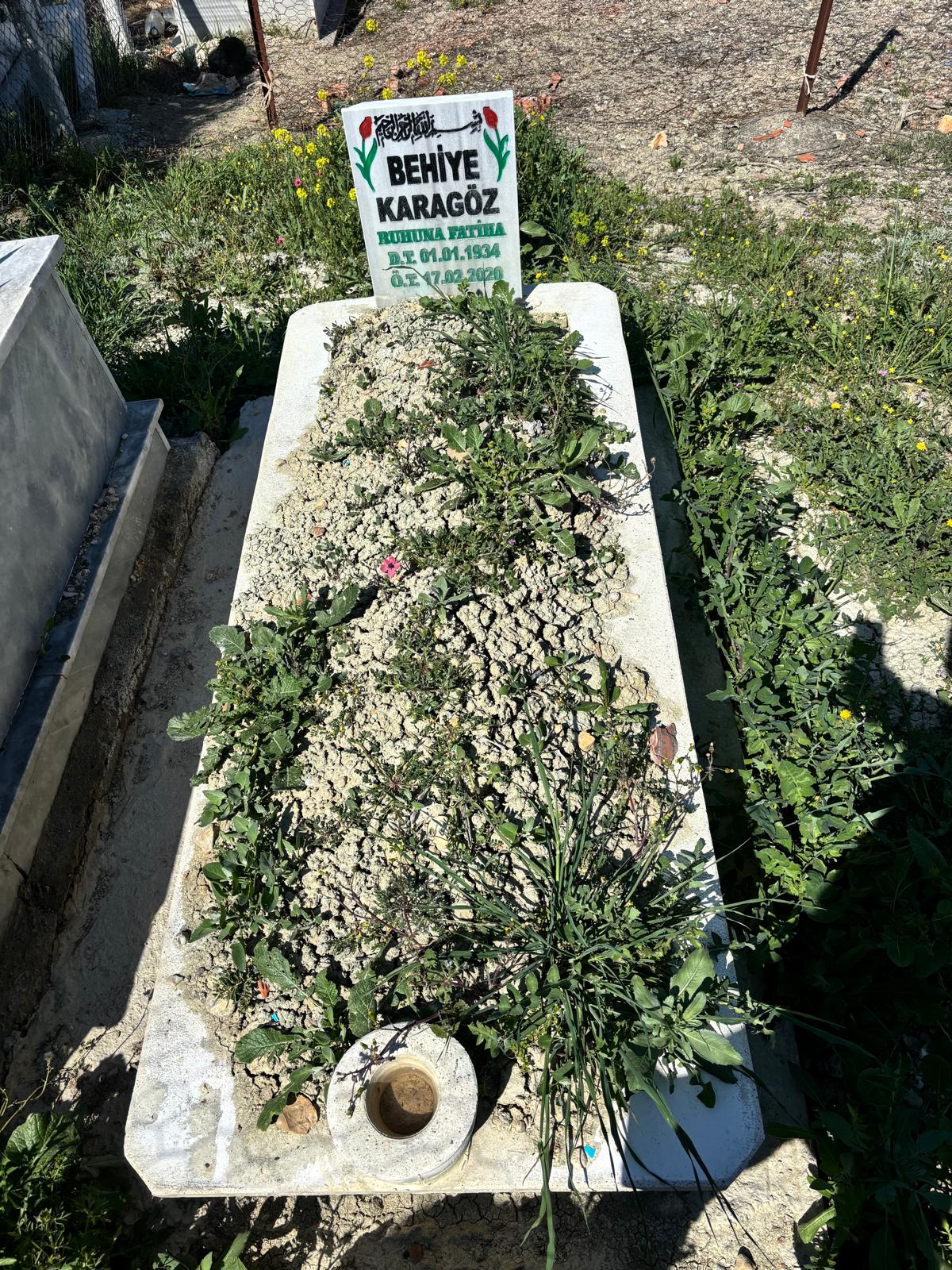 BEHİYE KARAGÖZ