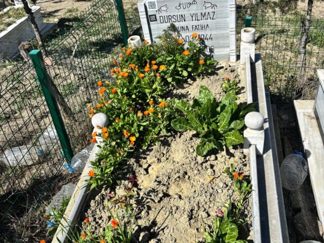 DURSUN YILMAZ