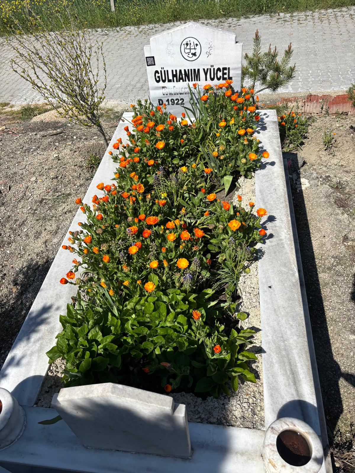 GÜLHANIM YÜCEL