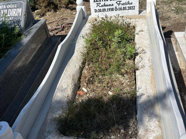 HAVVA YILDIRIM
