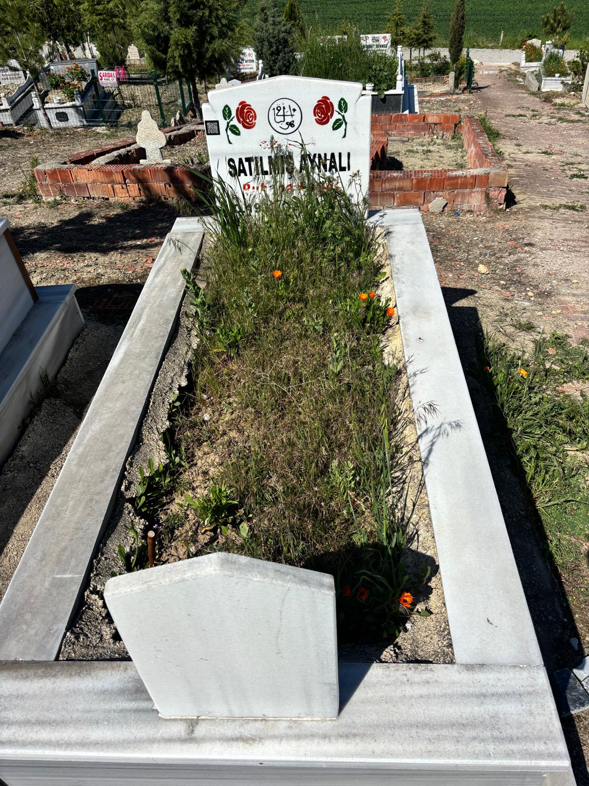 SATILMIŞ AYNALI