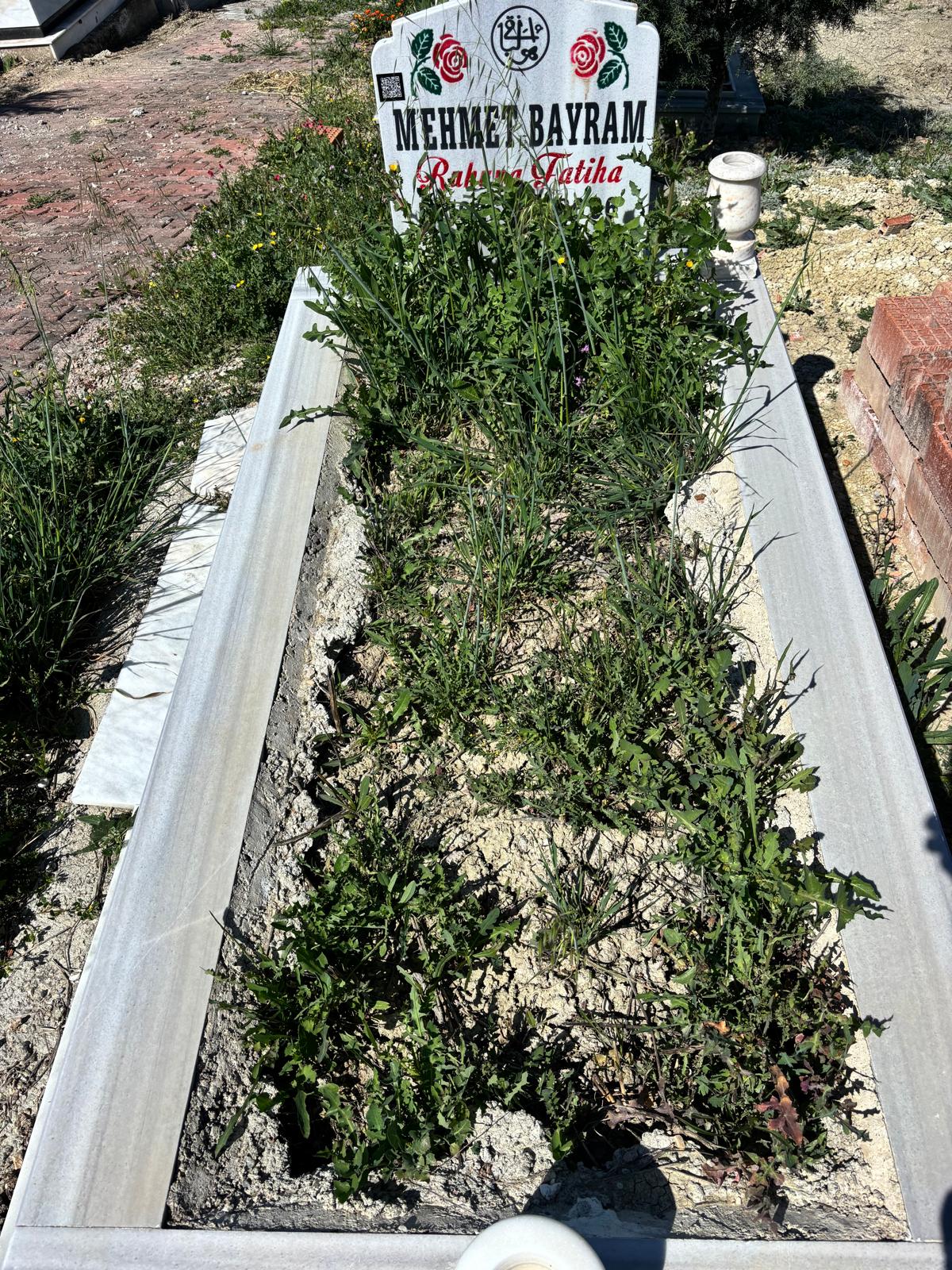 MEHMET BAYRAM