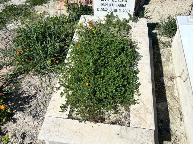 SATİ CEYLAN