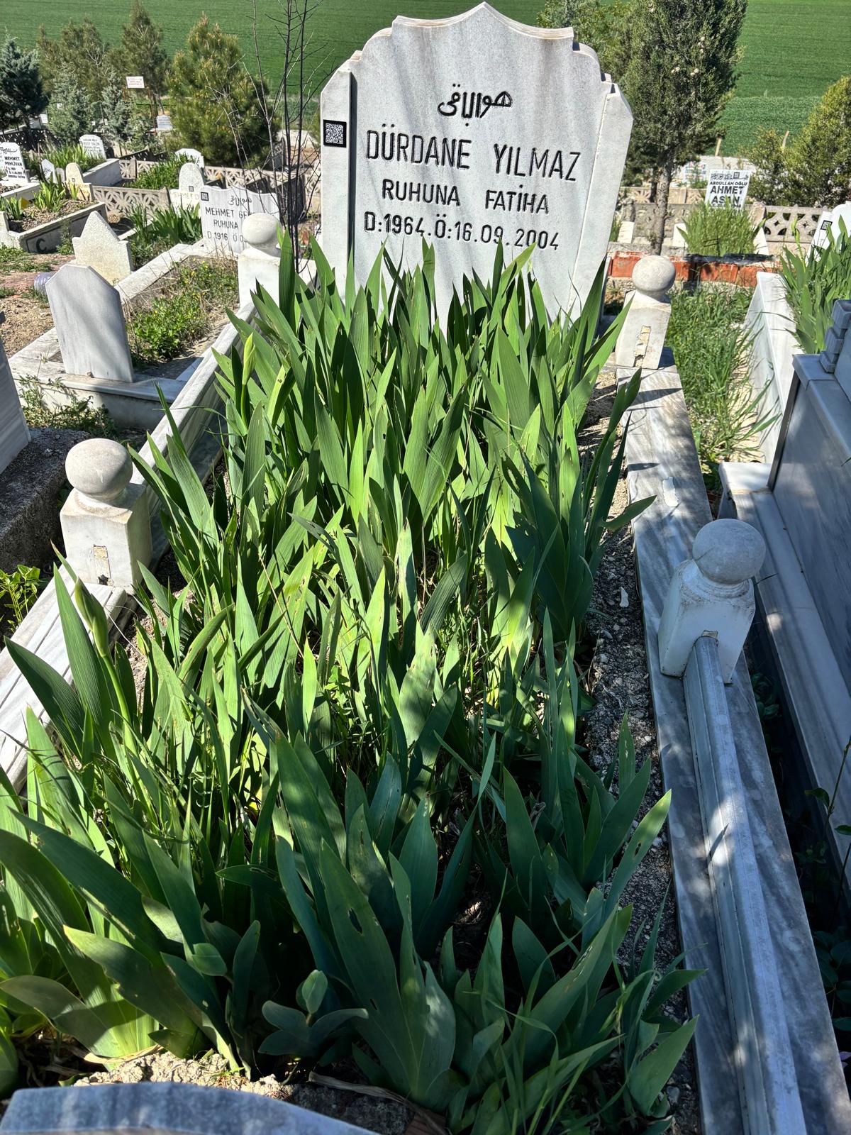 DURDANE YILMAZ