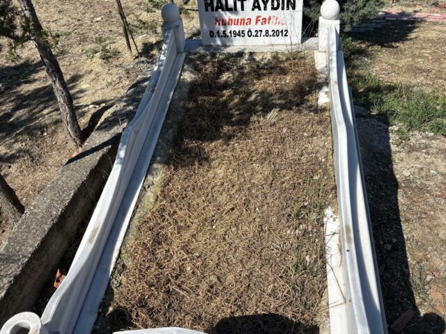 HALİT AYDIN