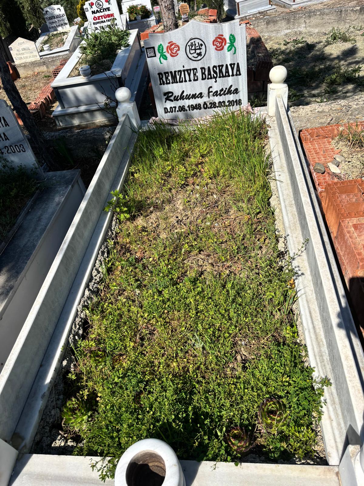 REMZİYE BAŞKAYA