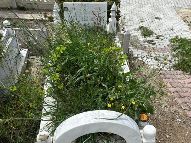 KADİR ARSLANTAŞ