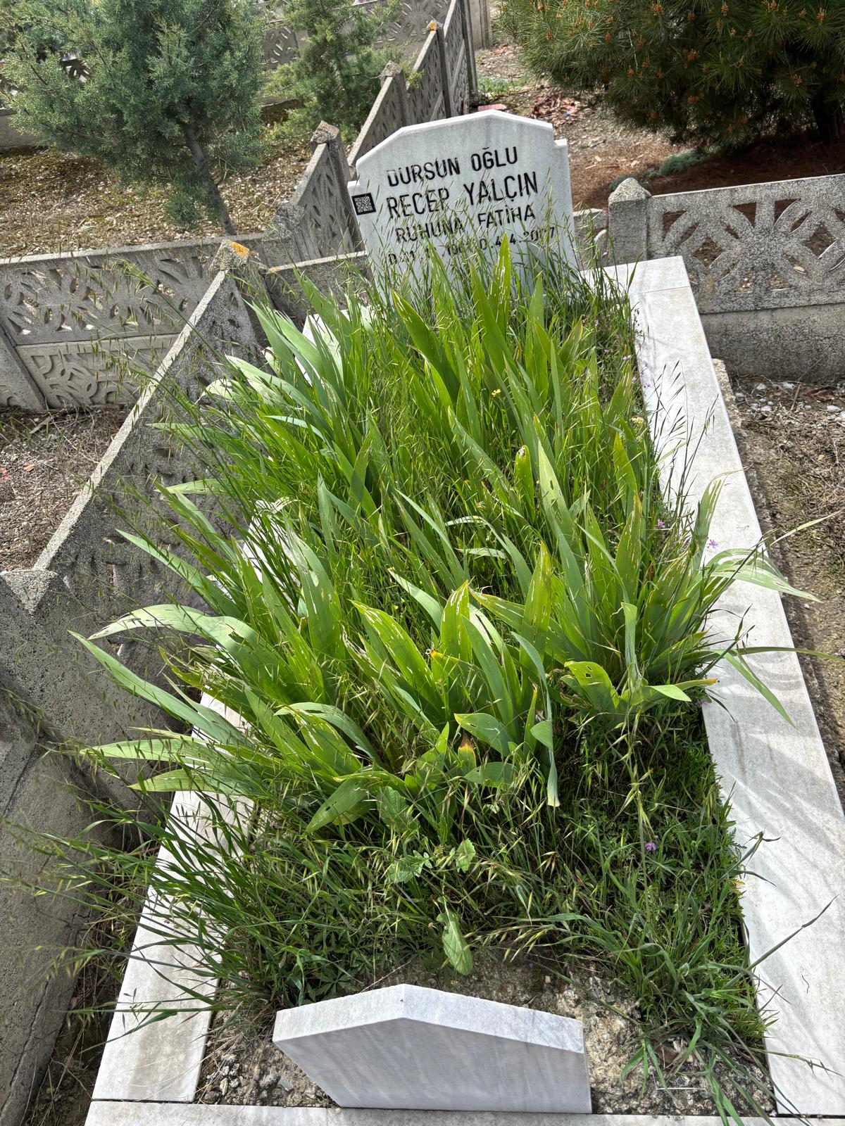 RECEP YALÇIN