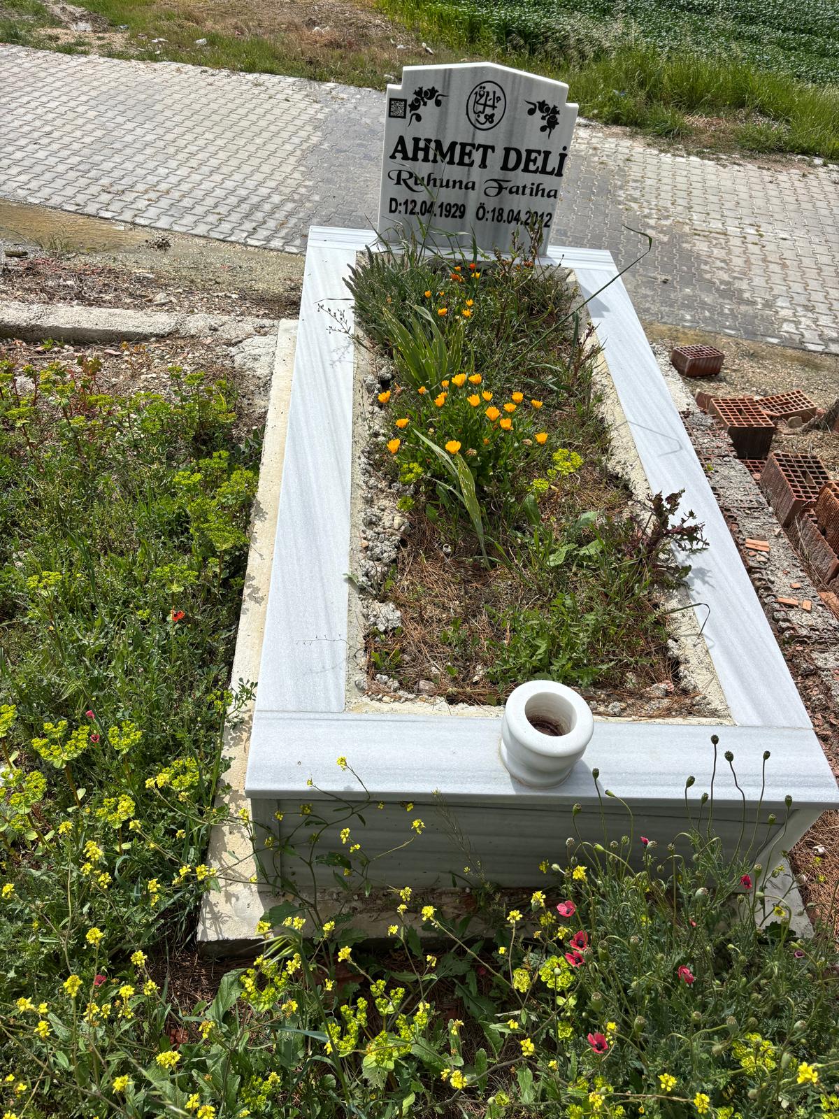 AHMET DELİ