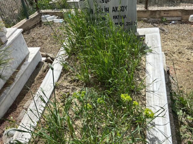 SALİH AKSOY