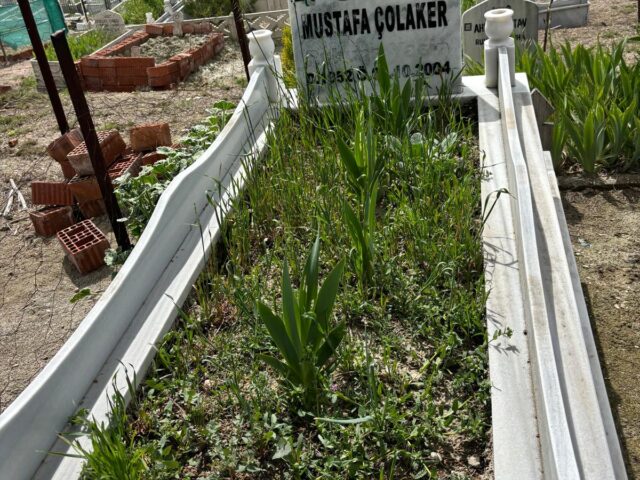 MUSTAFA ÇOLAKER