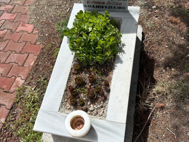 FATMANUR ÇOBAN