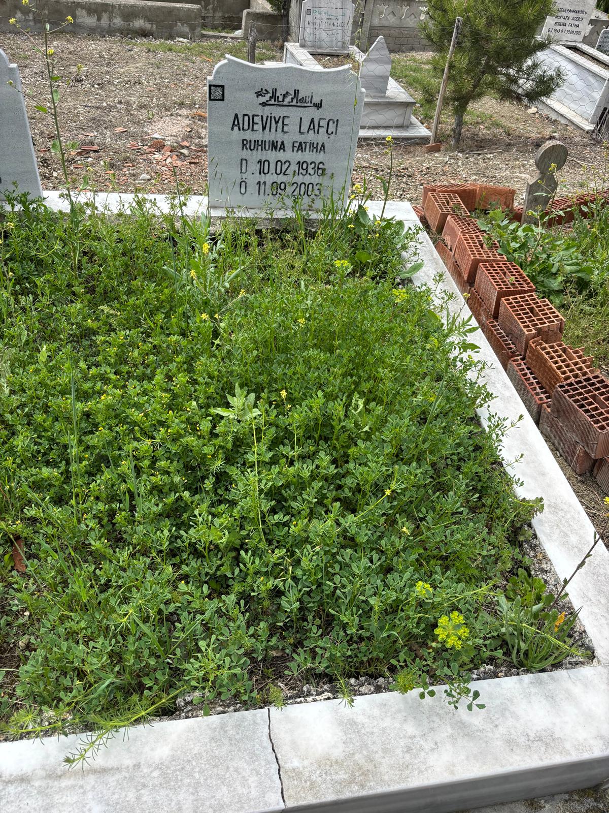 ADEVİYE LAFÇI