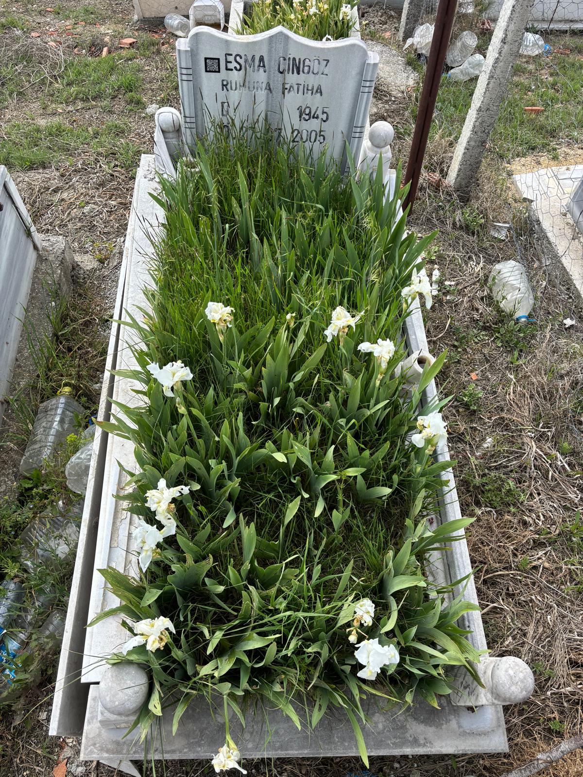 ESME CİNGÖZ