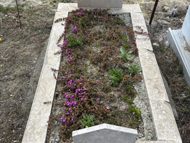HALİS UYSAL