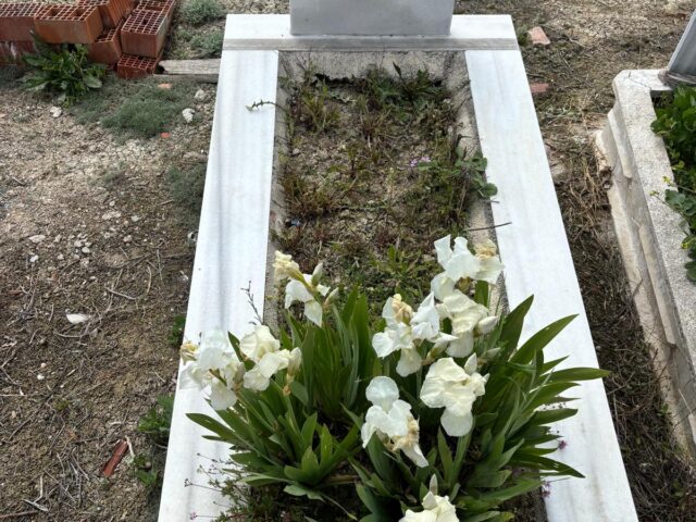 BİLAL ALTUNAY