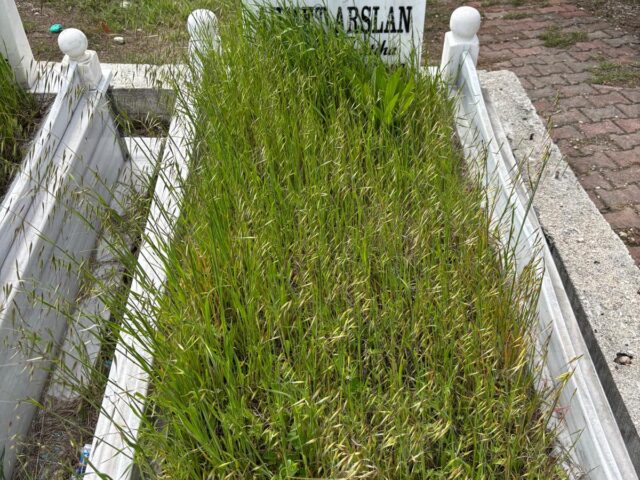AHMET ARSLAN
