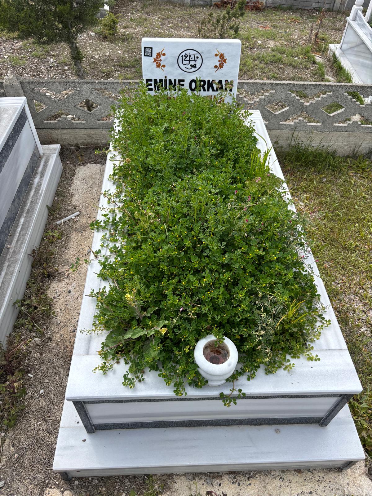 EMİNE ORKAN