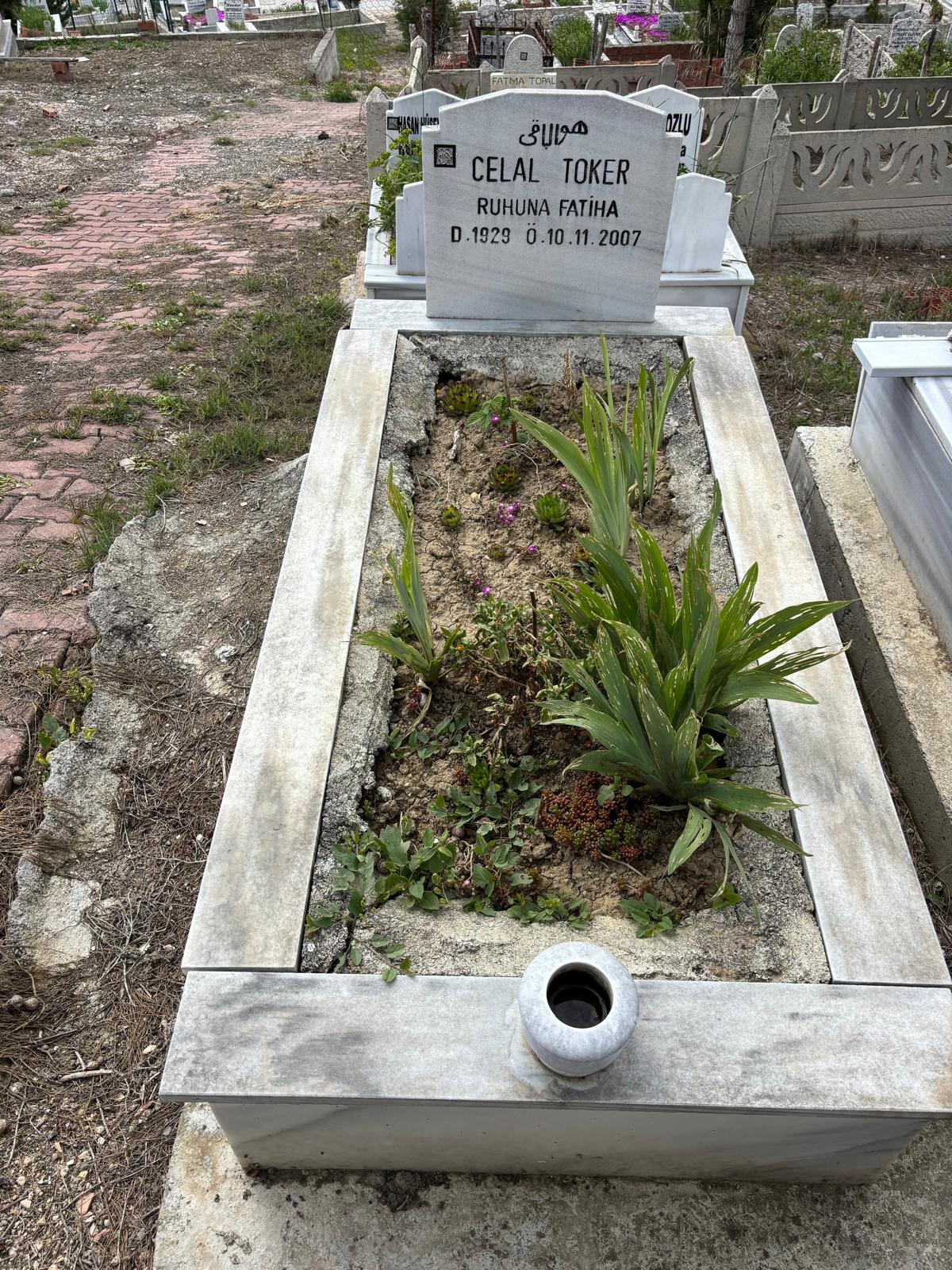CELAL TOKER