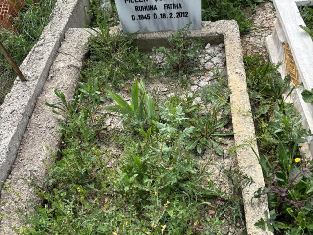 MELEK ÇÖRDÜKÇÜ