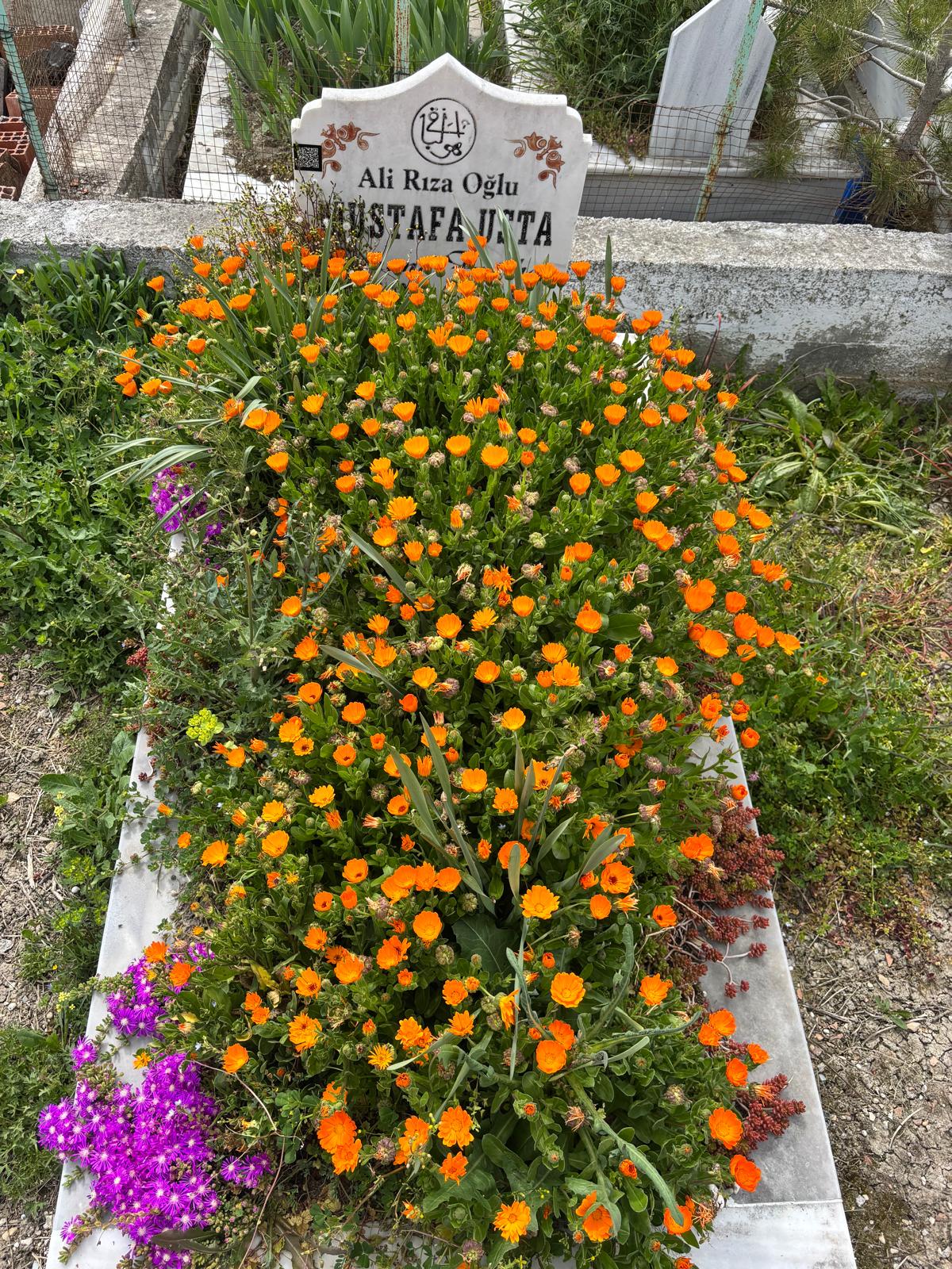 MUSTAFA USTA