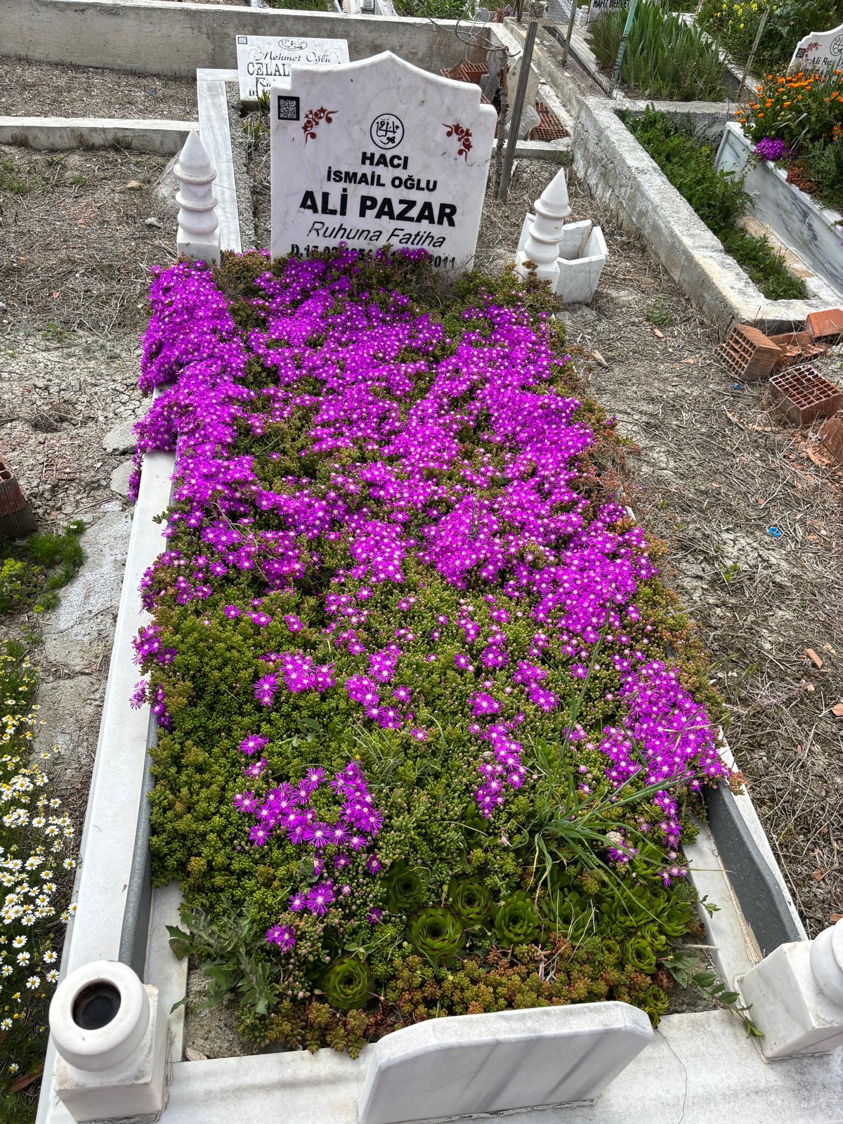 ALİ PAZAR