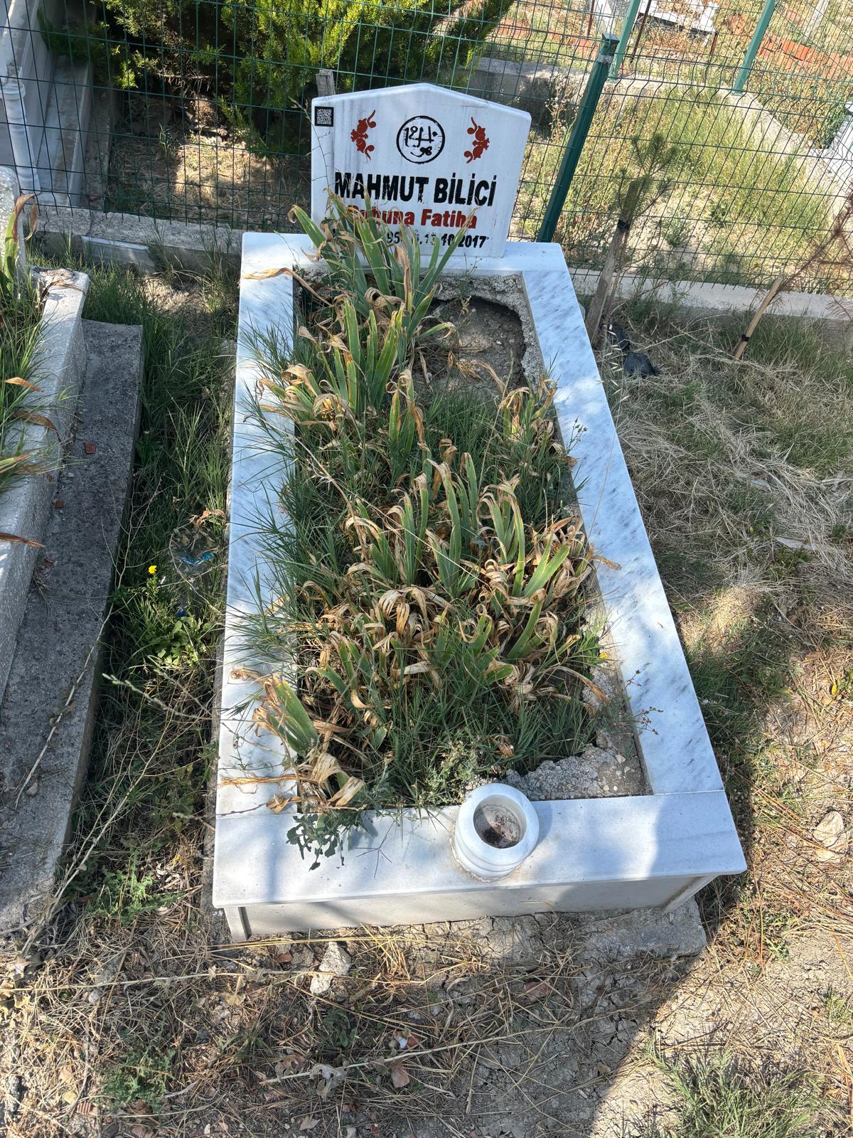 MAHMUT BİLİCİ