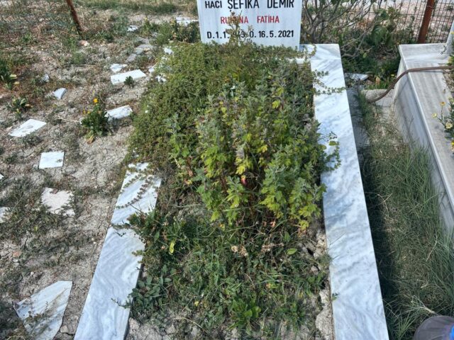 ŞEFİKA DEMİR