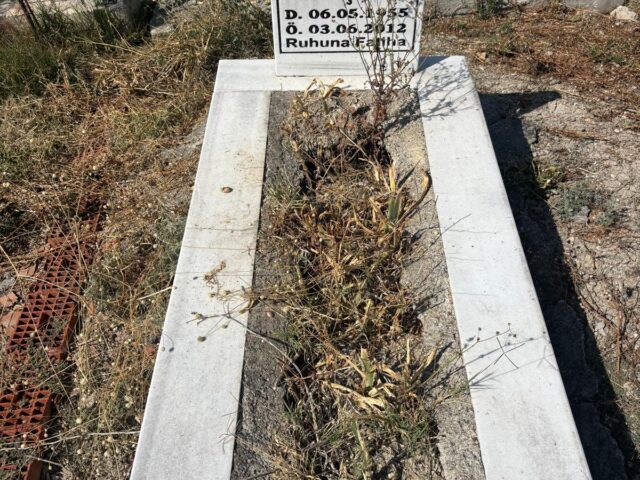 NECDET DERVİŞOĞLU
