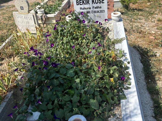 BEKİR KÖSE