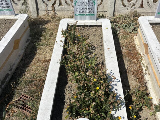 EMİNE CİNGÖZ