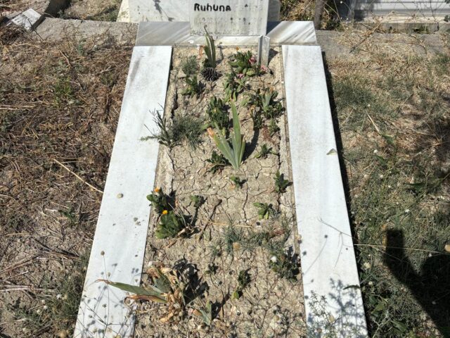 FATİH GÜMÜŞ