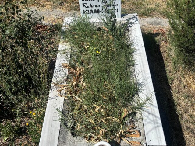EMRE CANTAV