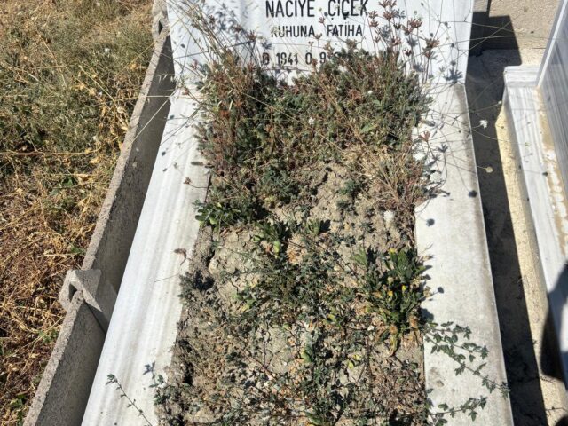 NACİYE ÇİÇEK