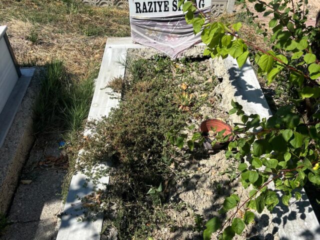 RAZİYE SILTAĞ