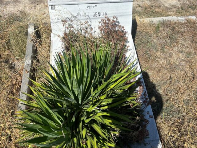 HİKMET GENCER