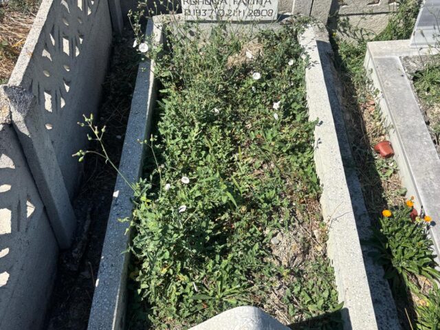 ZAKİRE ARPACI