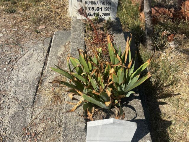 ZİYAFET ÇATAL