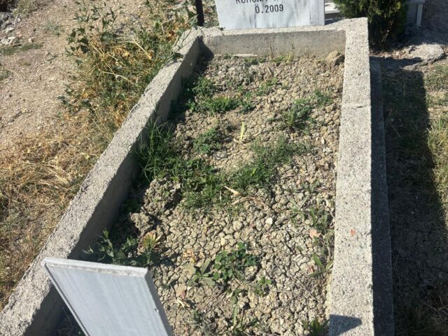 ABDULAZİZ BOLAT
