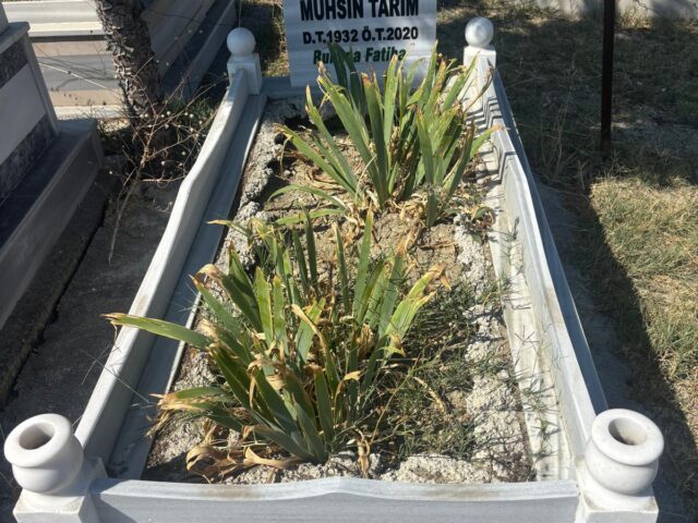 MUHSİN TARIM