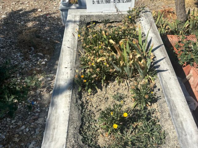 EROL GÜNLÜKÇÜ