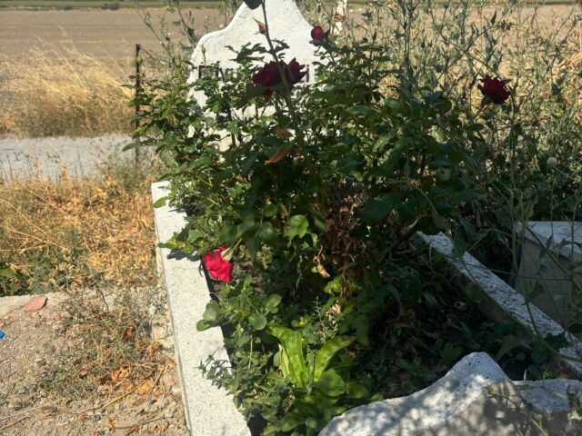 Y. ALİ BİRLİKÇİ