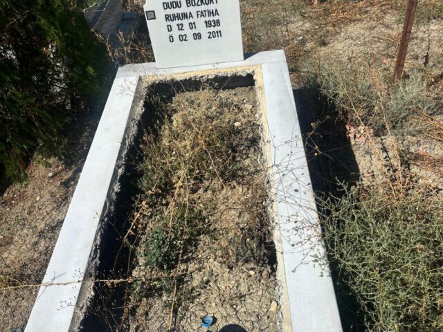 DUDU BOZKURT
