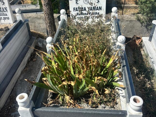 FATMA YAMAN