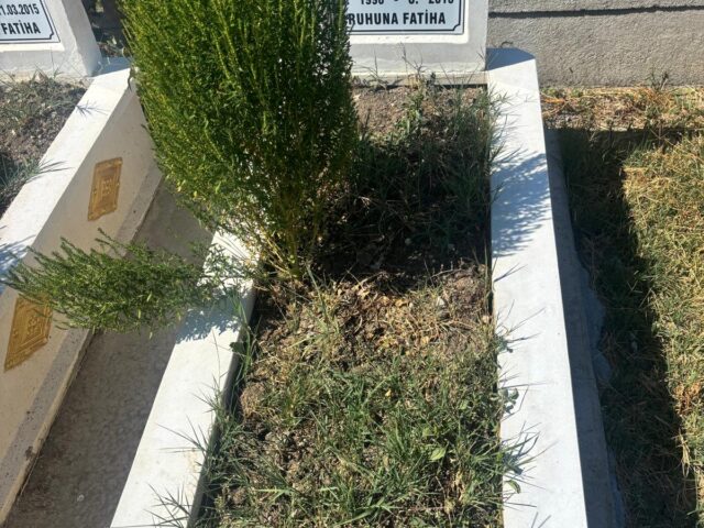 MİNE TOZLU