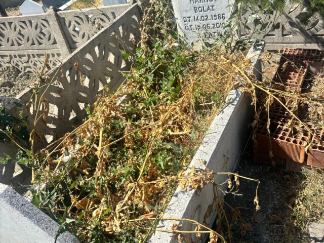MAHMUT BOLAT